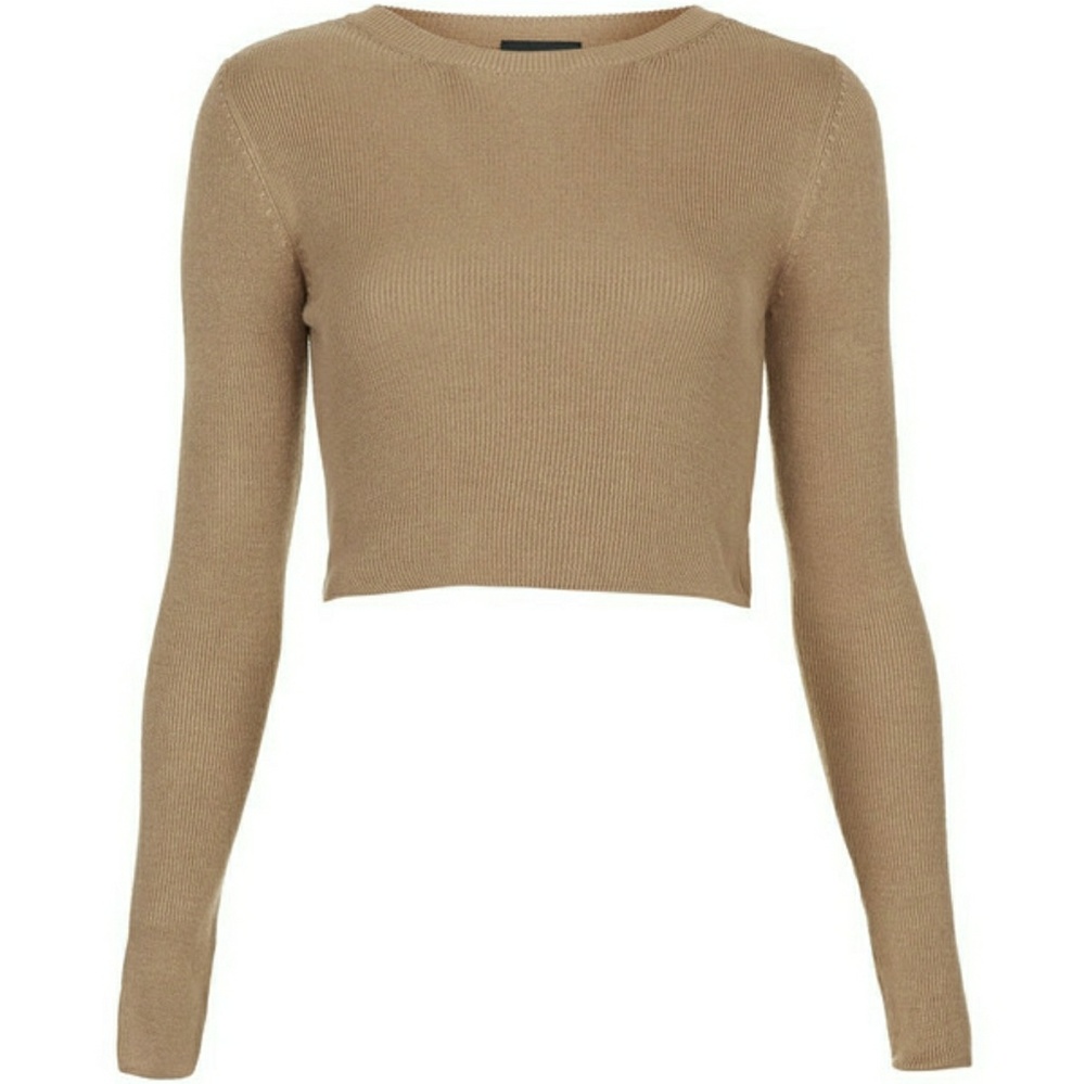 Topshop camel tan ribbed crop knit top us4